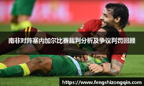 zoty中欧南非对阵塞内加尔比赛裁判分析及争议判罚回顾